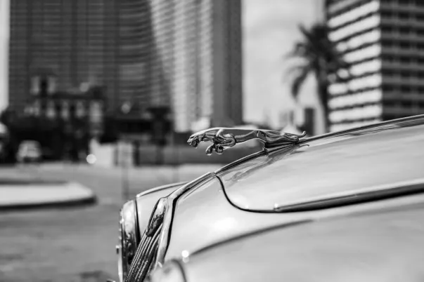 WagerWeb Cazino Cazinou Aplicație Android/iOS